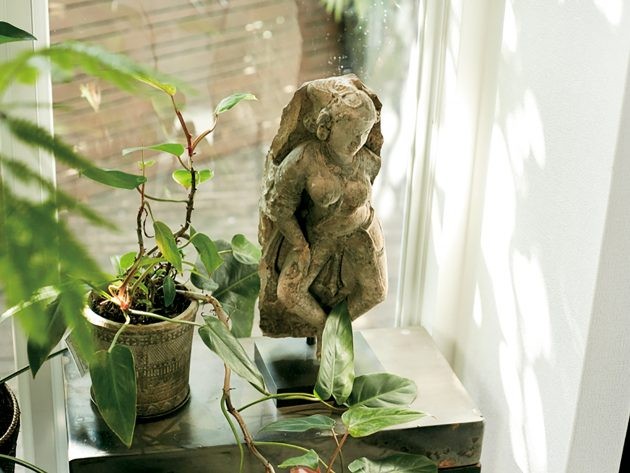 桐島かれんさんの部屋づくりアイデア 新居は緑と光と 好きなものに囲まれて