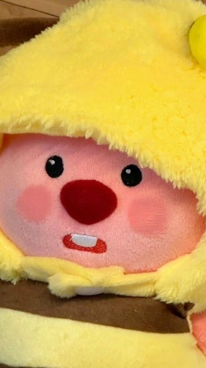 รายงานจ้าๆ