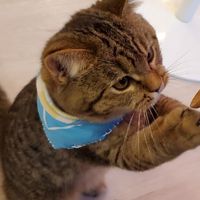 ひだまり商会