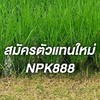 สมัครตัวแทนทีมเกษตรอินทรีย์สินแร่ บริษัทเอ็น.พี.เค888จำกัด