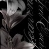 𓏵  ‎♱ 𝑁𝑜𝑠𝑡𝑎𝑙𝑔𝑙𝑖𝑙𝑎 ♡ 𝑠ℎ𝑜𝑝 รับทำการบ้าน ♱ 𓂂ཾׅ𓋱ྀི