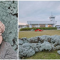 【金山萬里 網美打卡之旅】中山溫泉公園 櫻花富士山彩繪 免費泡腳池|金山老街散策 必買伴手禮推薦|兄弟食堂 風味料理|富貴角燈塔 步道拍美照|米詩堤極北藍點 泡芙下午茶