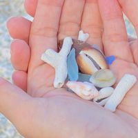 沖縄ボランティア活動