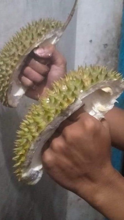 สายรหัสตัวสูตินรี