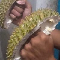 สายรหัสตัวสูตินรี