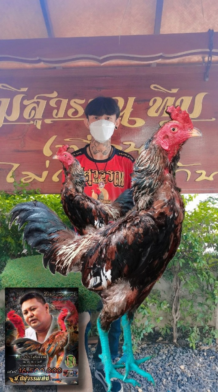 ซุ้ม.เกียรติ​เพชร​ฟาร์ม​ จ.อุบลราชธานี​