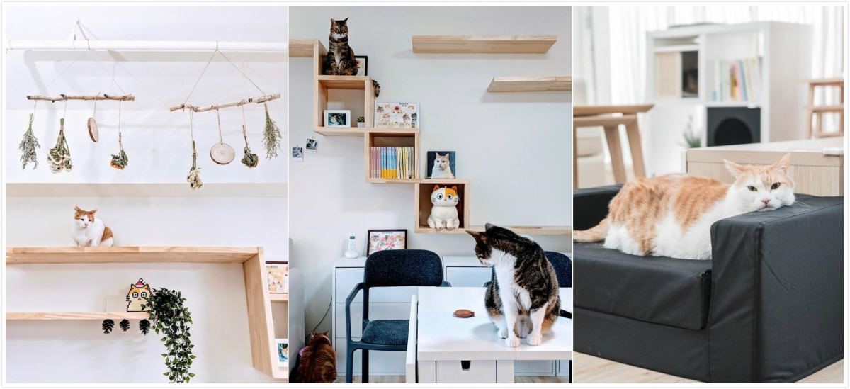 黃阿瑪遷宮了！一起來看看這次的新家長什麼樣吧！