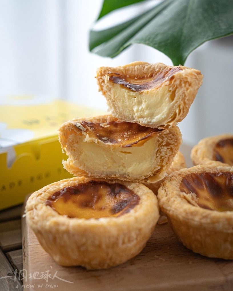 全台必吃蛋塔推薦：黛西蛋塔