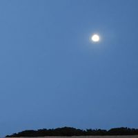 和歌山県&三重県の愉快な仲間たち