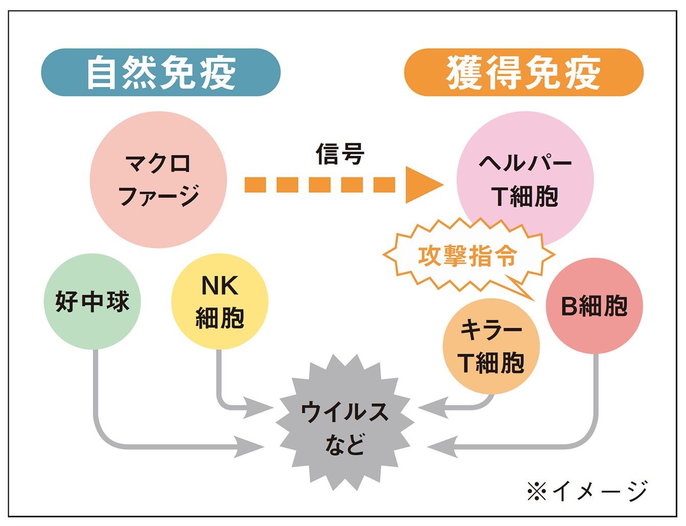 企業が従業員を守るなんて Jalやanaの対応に欧米の人たちが感動するワケ