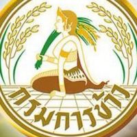 จ้างเหมากรมการข้าว