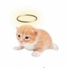 この全也が激緩すぎて滅❣️❣️