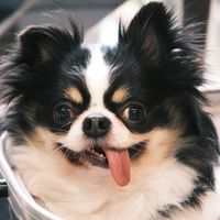 邱識勳水果有限公司