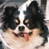 邱識勳水果有限公司
