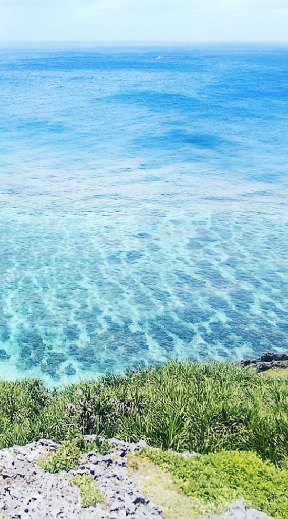 🌈沖縄好き集まろ✨海のゴミ拾お🏖釣り∞ペット∞料理∞旅行∞酒∞居酒屋∞景色∞移住🐡雑談処ゆんたく💯🌈