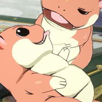 曦光薔薇