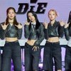 女娃、寶怪、四閨女的應援團，快到80人啦！