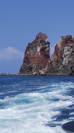 百鳥朝鳳