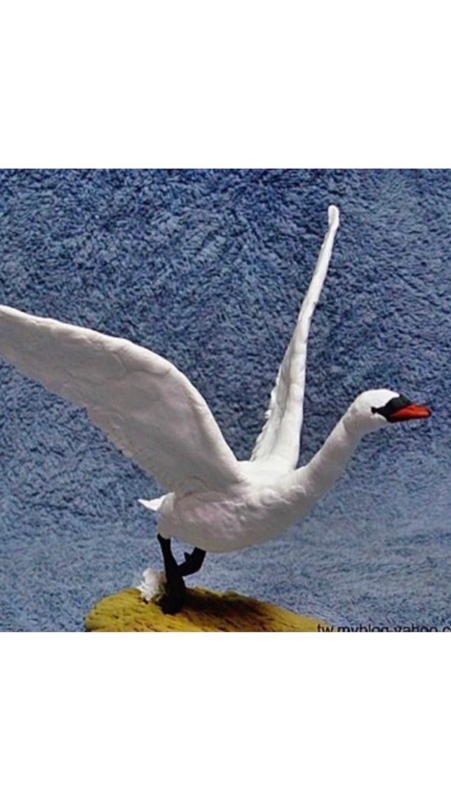 🦢老天鵝展翅高飛🦢