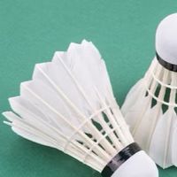 大雅週五晚上羽球🏸臨打