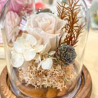 妮好手作、MT娜🌹［乾燥花、永生花、香皂花交流]