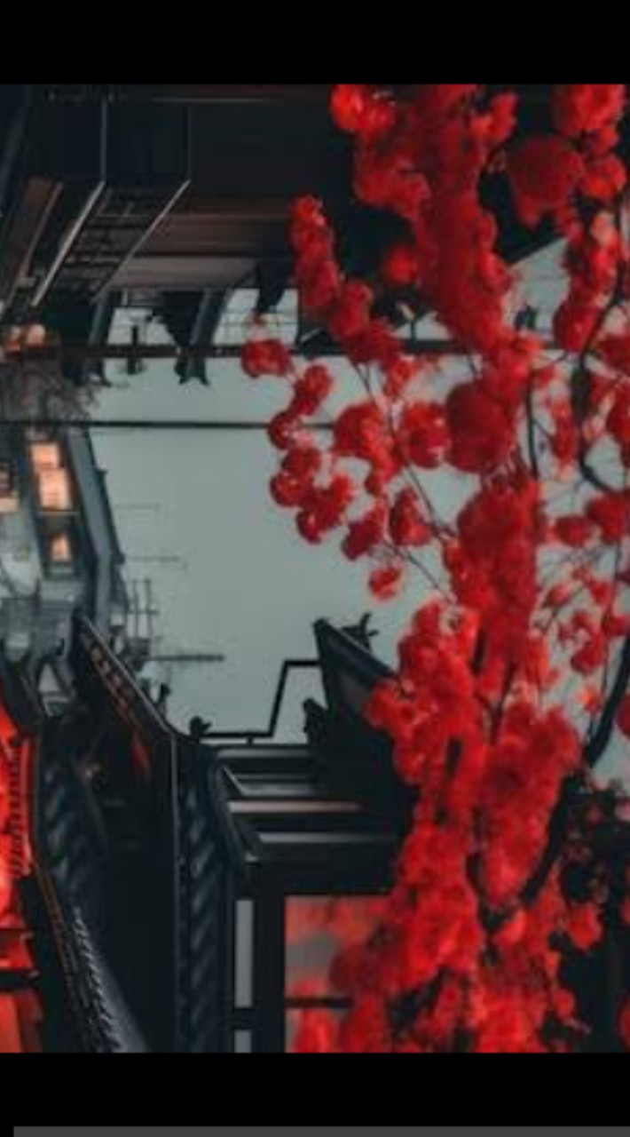 ✿ポケモンなりきり！ツバキ地方︵✿