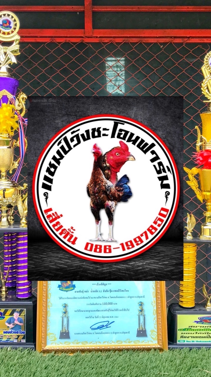 แชมป์วังชะโอนฟาร์ม 1