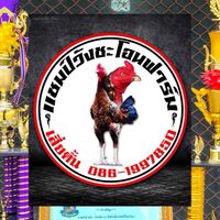 แชมป์วังชะโอนฟาร์ม 1