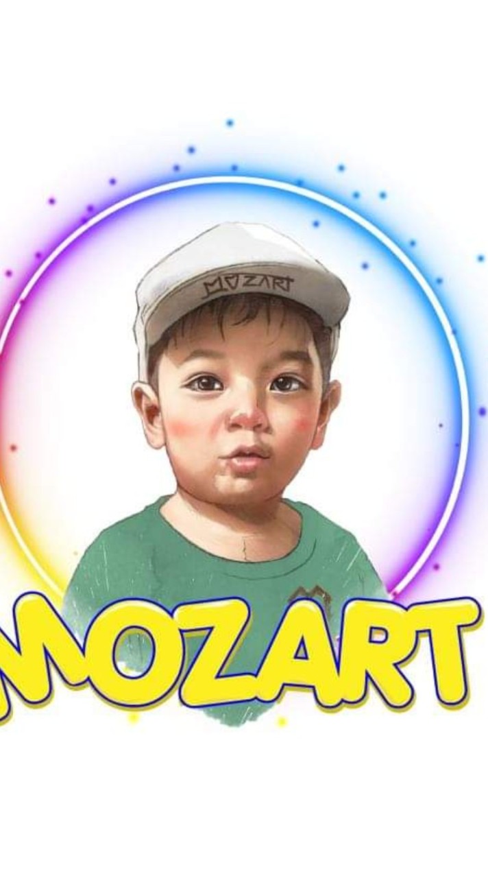 Mozart Toy