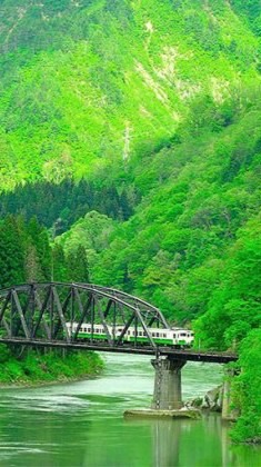🏯福島県🍑お友達作り隊☕️