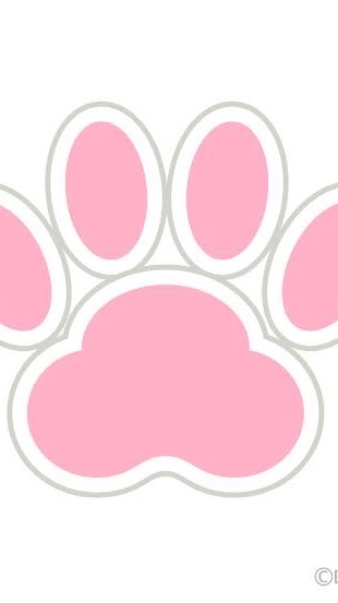 ゆずの猫吸い🐈🤍