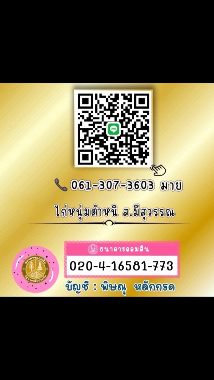ไก่หนุ่มตำหนิ ส.มีสุวรรณ อยุธยา