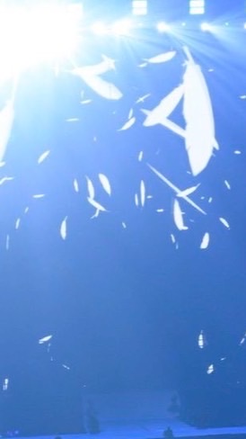 歌い手ならないかい？