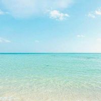 桃圓蝦拼GO
