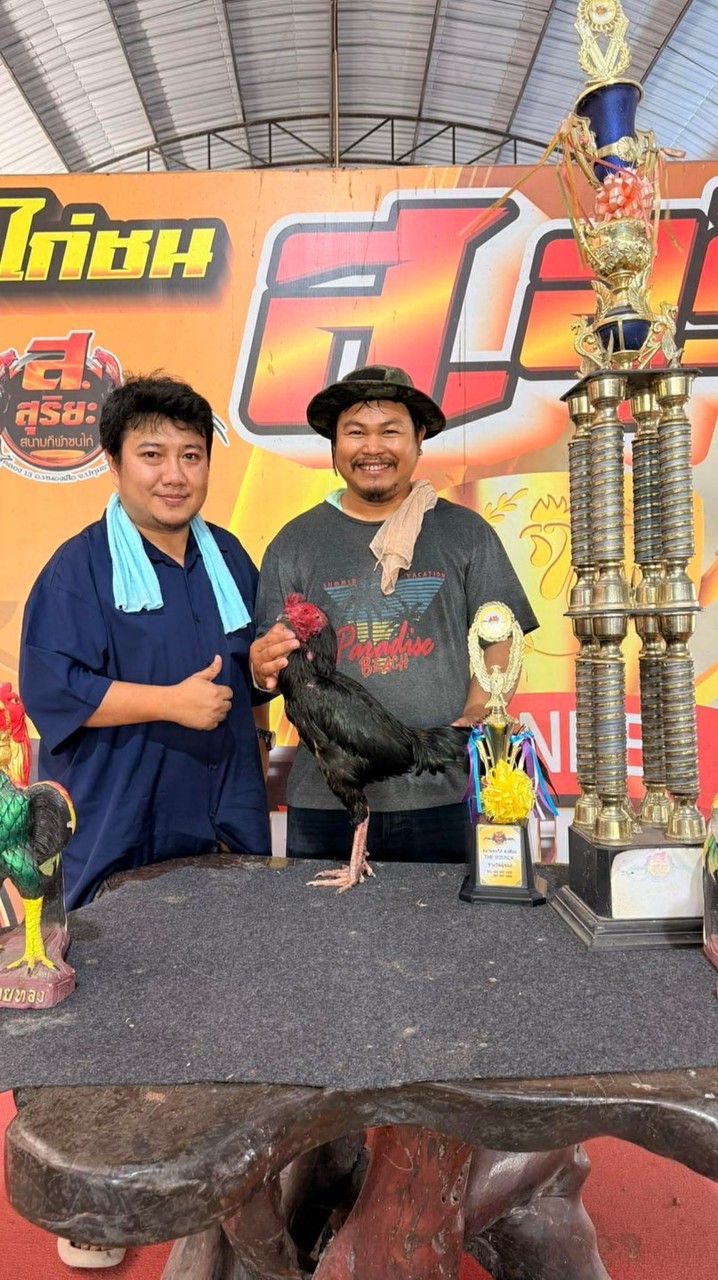 ชโยฟาร์ม168 V2