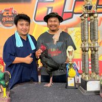 ชโยฟาร์ม168 V2