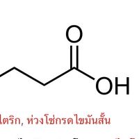 กลุ่ม ไร้ไขมัน