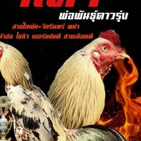 ตลาดซื้อขายไก่ชนทรัพย์รุ่งเรือง