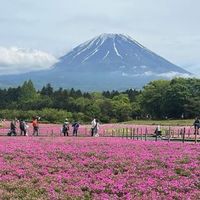 🌙191.enjoy芊芊的國內外旅遊✈️包行程✨