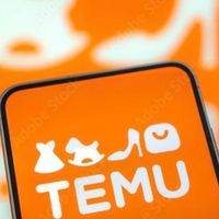 temu限定 相互