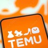 temu限定 相互