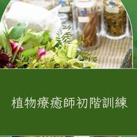2025.08植物療癒師初階課程招生