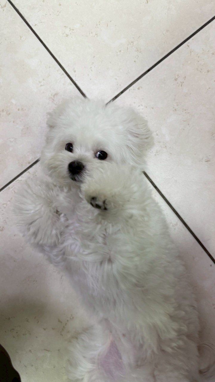 屬於豆桑的小天地🐶🐱🐾