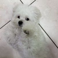 屬於豆桑的小天地🐶🐱🐾