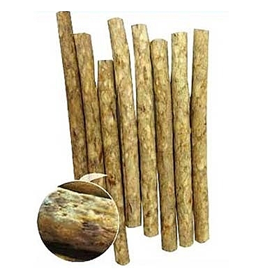 特殊的彈性纖維 能保護愛犬較脆弱的牙齒 而不會受到刺激嚘