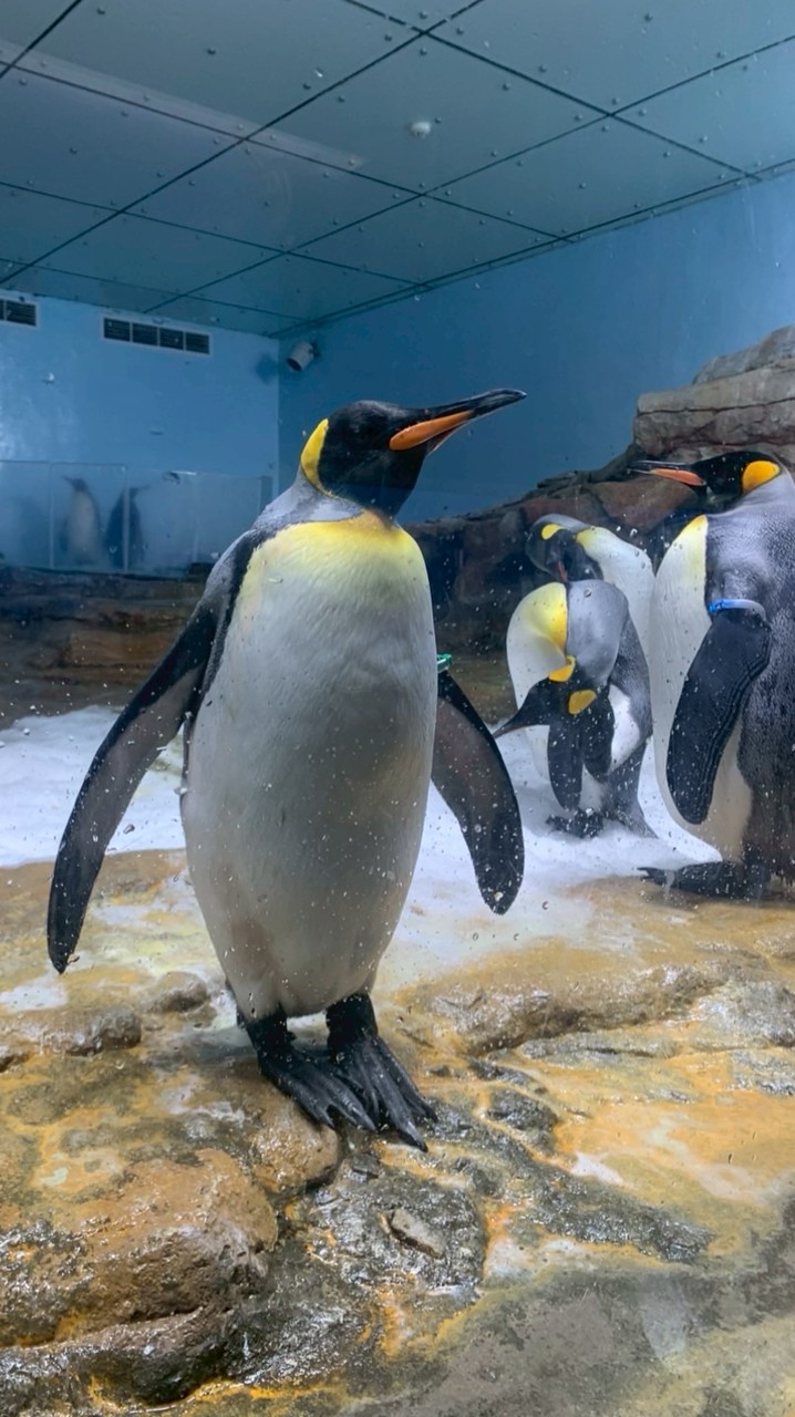 旅遊小幫手～梁小弟幫您找行程