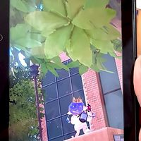 スプラ3!!バグ、ラグもやるよ〜!!雑談もやるよ!