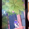 スプラ3!!バグ、ラグもやるよ〜!!雑談もやるよ!