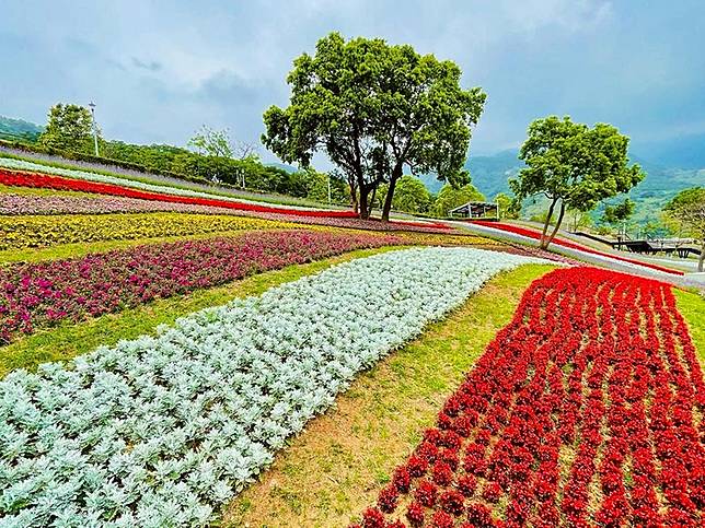 景色堪比日本富良野 北投三層崎公園 花海火熱登場 台灣旅行趣 Line Today