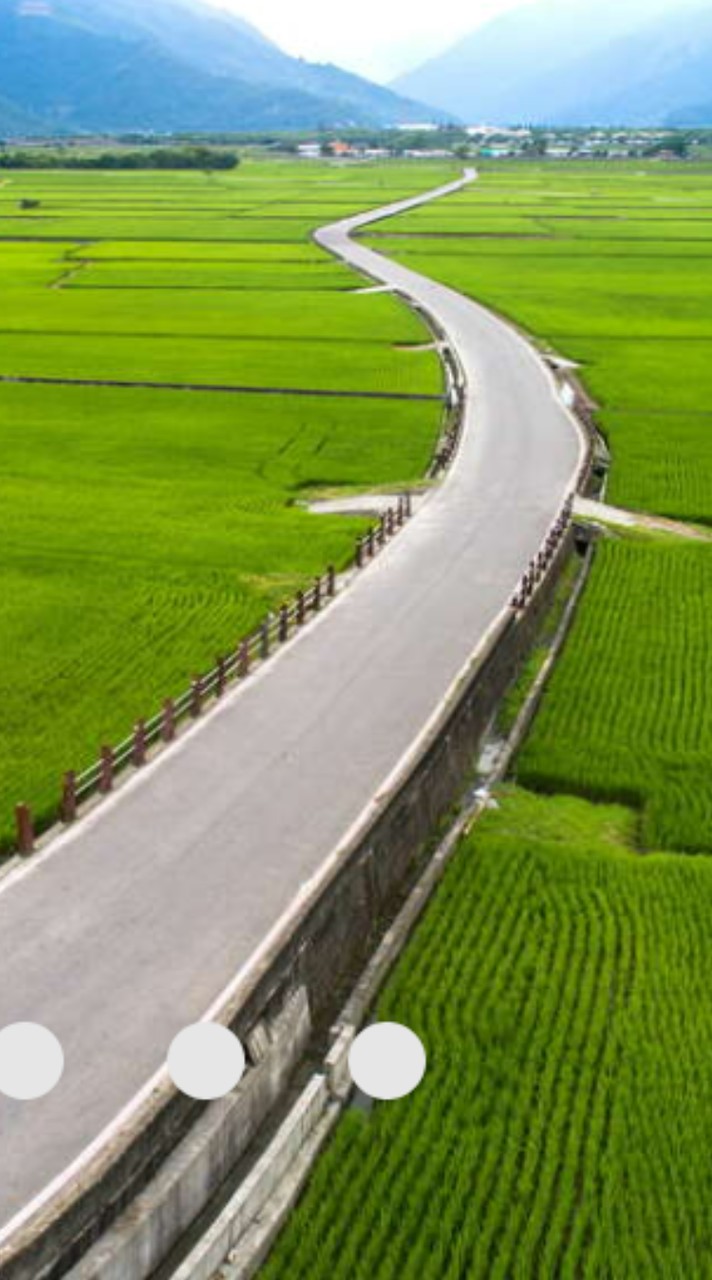 8/1.2.3玉長豐濱嗶0元，鹿野池上台灣好行，太麻里金針花